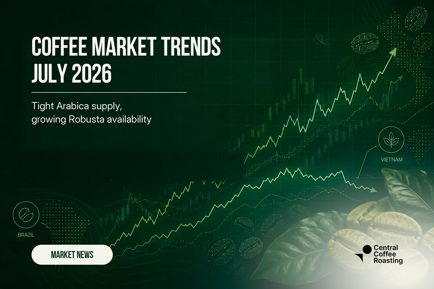 Coffee Market in July 2026: Arabica and Robusta | Green Coffee Hub