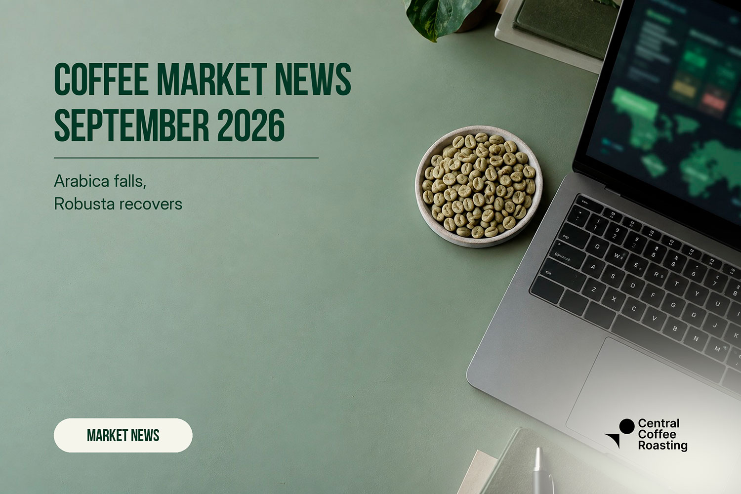 Coffee Market: Week 37, 2026 | Green Coffee Hub